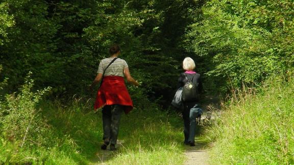 Twee personen wandelen door een bos